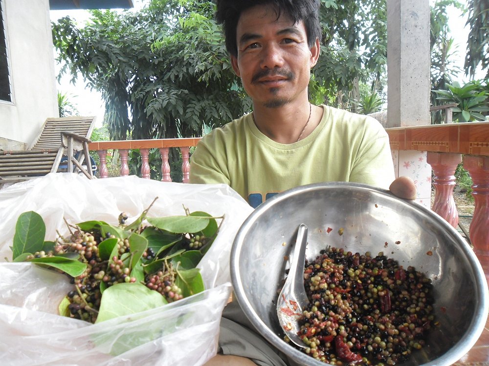 วิตามิน ซี บำรุงสายตา สูตรโบร่ำ โบราณ นี่เลยขอรับ ตำลูก ข้าวเม่า หวานอมเปรียว บำรุ่งสายตาดีนักแล  :l