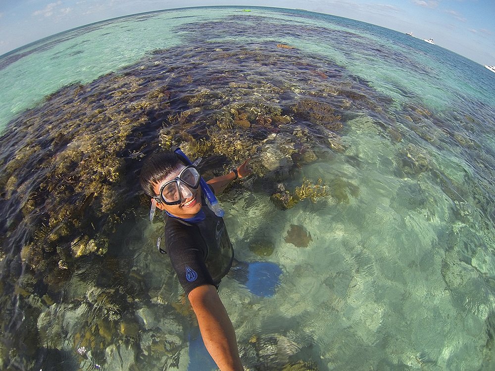 พายจากเกาะมาถึงกลุ่มประการังที่เรียกว่า Patch Reefs ครับ กลุ่มก้อนประการังแบบนี้จะมีอยู่ภายใน Atoll 