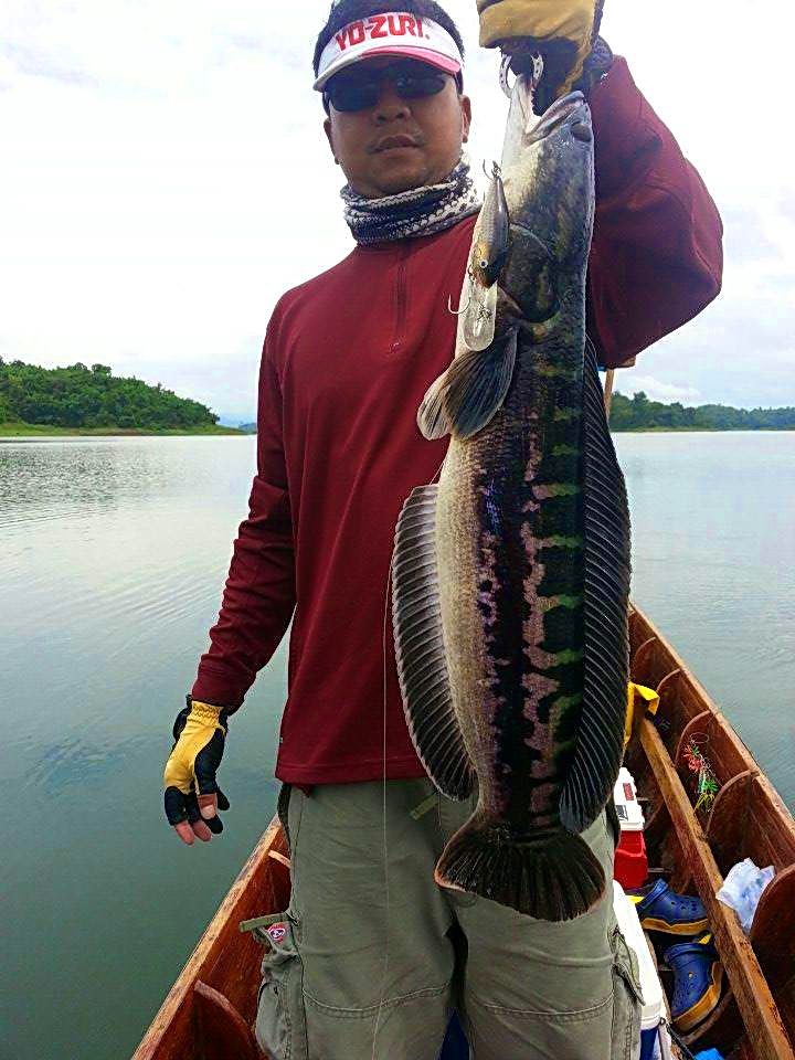  [b]** กลัวเราจะไม่เชื่อ เปิดรูปจากมือถือให้ดูอีก  มานกัดตัวนี้เลยพี่...!!

Rapala   Risto Rap - 0