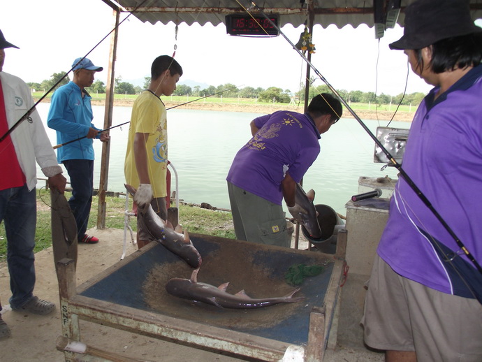 ลุ้นกันทั้งวันวันนี้ :grin: :grin: :grin: