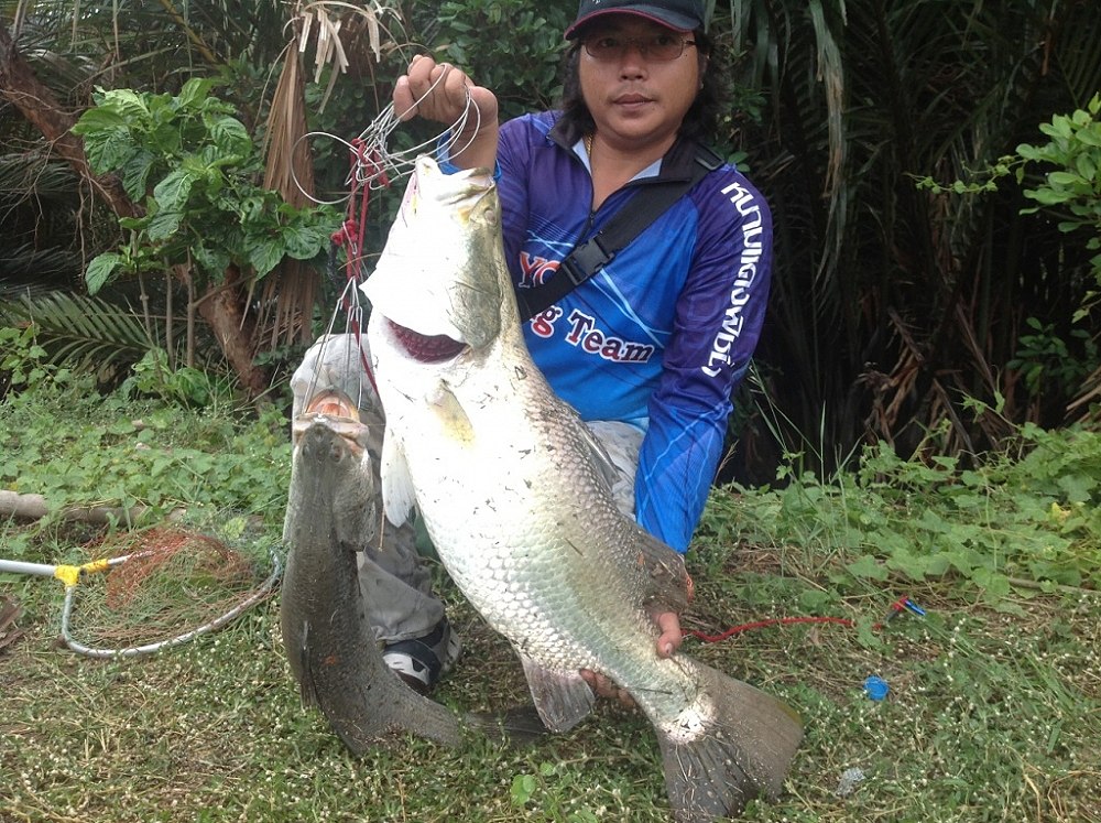  ปลารวมน้าเอส กับแชมป์ปลาใหญ่อีกรางวัล    ได้ข่าวว่าหลุดหลายตัวเลย   