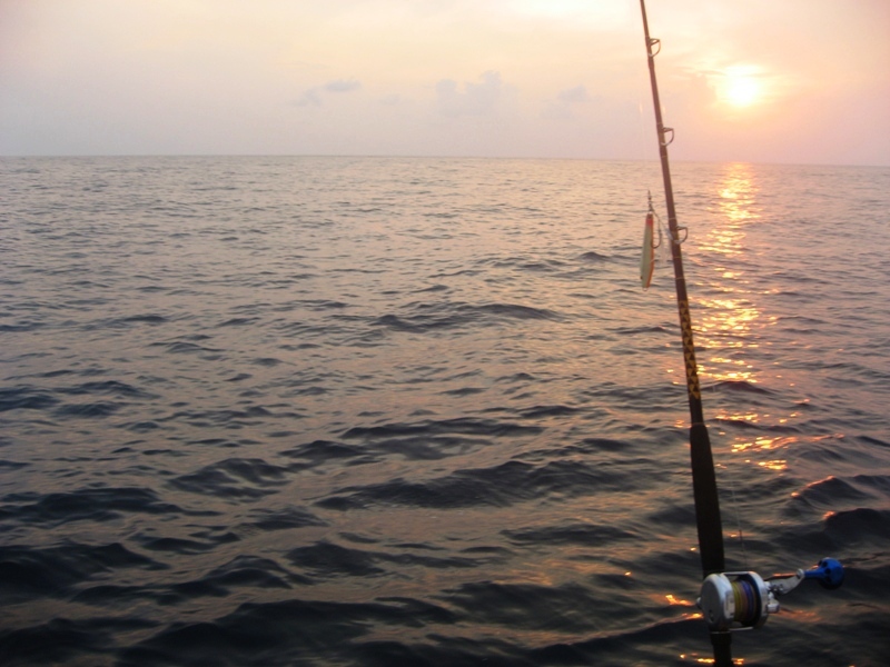 trip spearfishing
Andaman Islands India :grin: