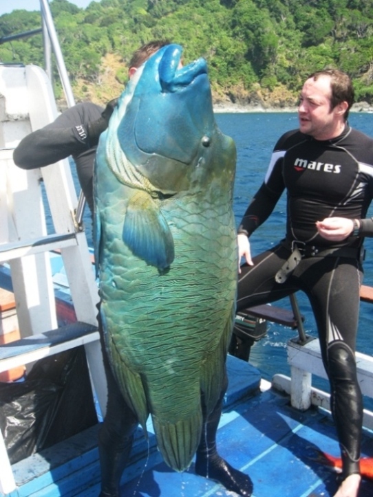 trip spearfishing
Andaman Islands India
 :grin: