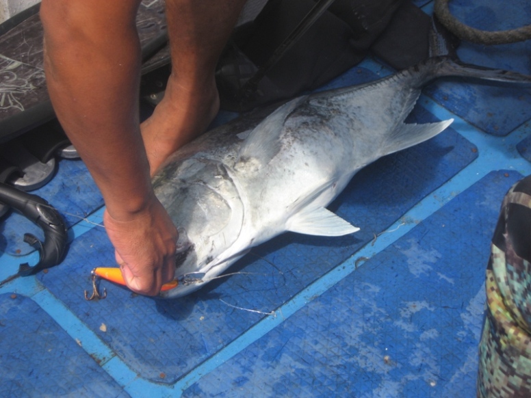 trip spearfishing
Andaman Islands India
 :grin: