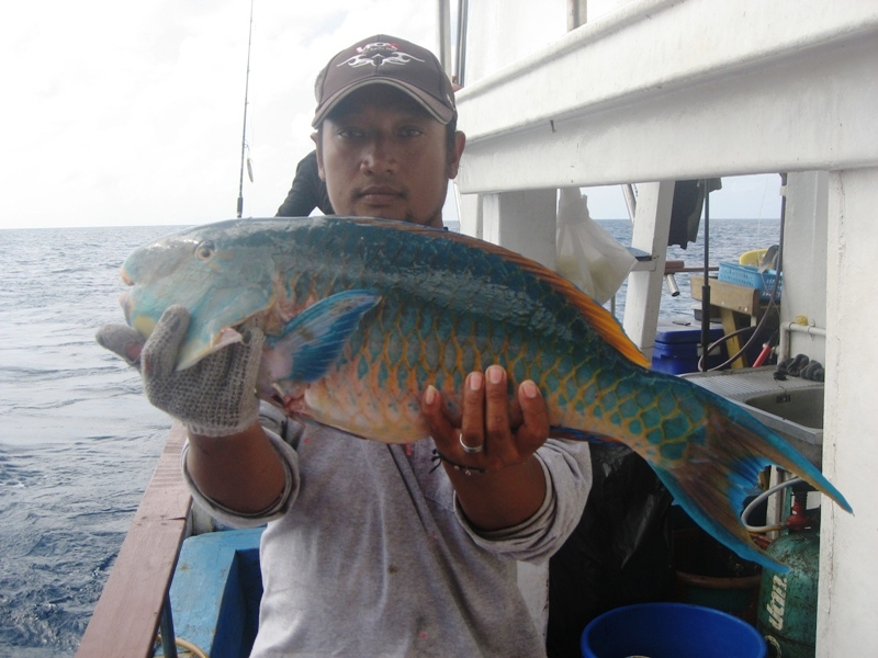 trip spearfishing
Andaman Islands India
 :grin: