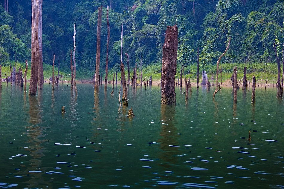 สภาพหมาย สวยๆแบบนี้ มีปลาขึ้นจิบประปราย แต่เล็งดูดีๆ ปลากำลังจับคู่ทั้งน้านนนน  :laughing: :laughing