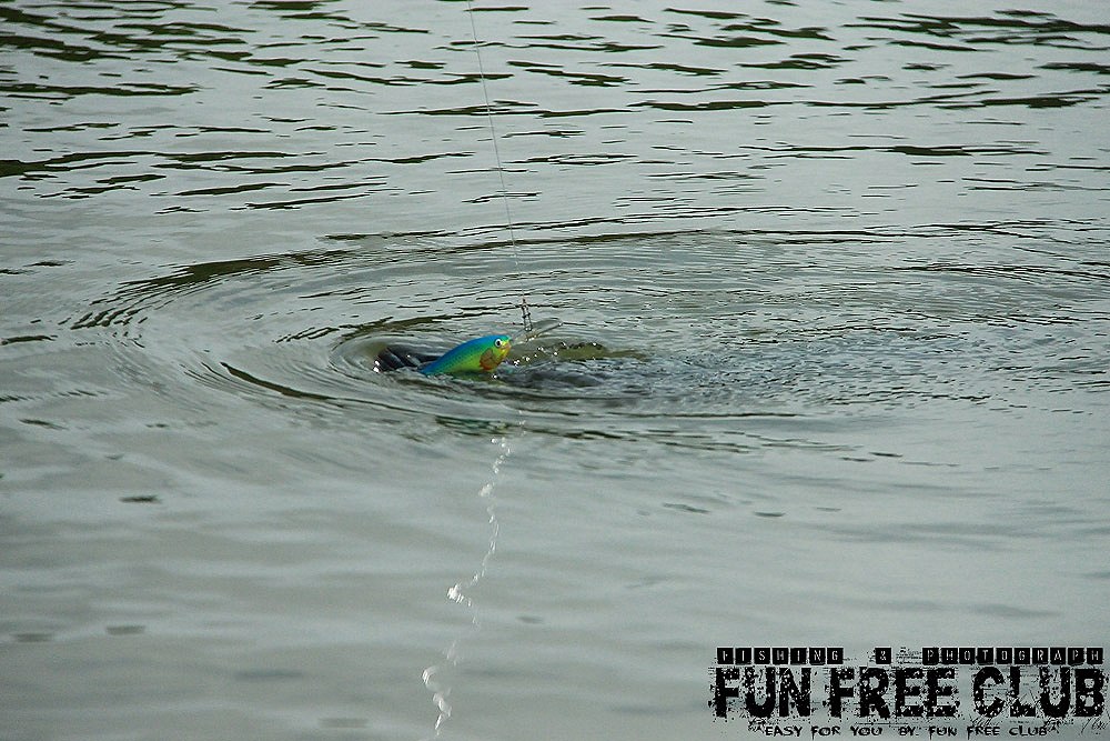 

มันบอกเคยตกปลาชัยภูมิมาเจอปลาแบบนี้ เฉยๆเลย   :laughing: :laughing: