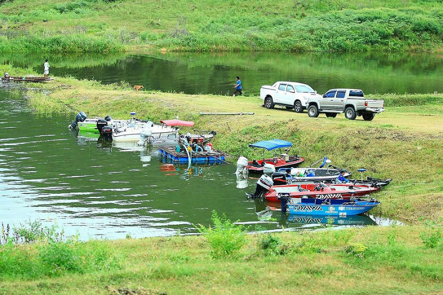 เรือเริ่มมาเยอะล่ะ
