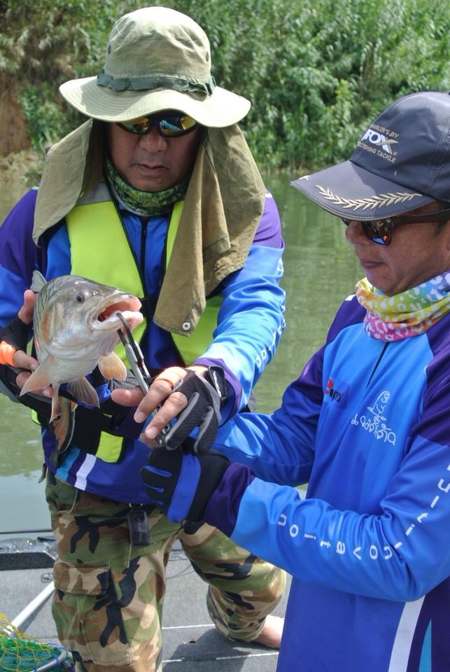 สายรายงานว่าทางด้านฝั่งต้นน้ำ เรือน้าต๋อง ผู้พันแม็คได้ กระสูบไซส์ใหญ่ 