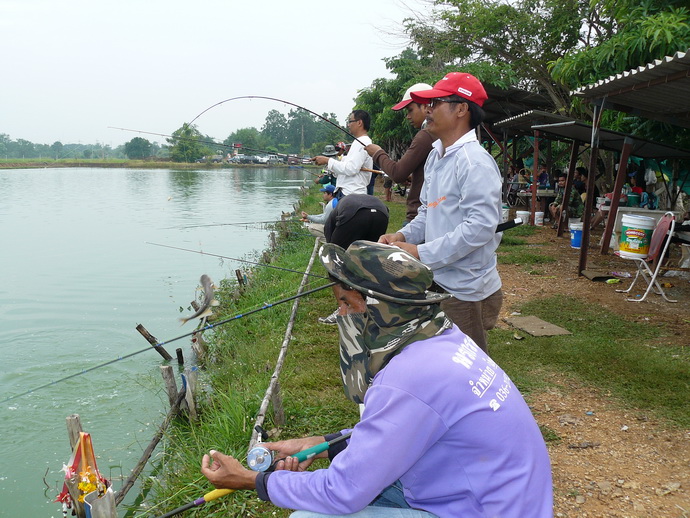 แก๊งปลาใหญ่ทั้งน้านตรงนี้ :grin: :grin: :grin: :grin: