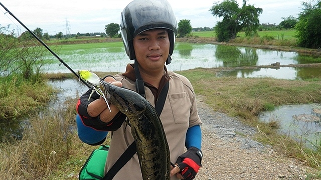 ไหนๆเอาใหม่ดิ๊ เมื่อกี้จะหลับตาทำไม  :laughing: :laughing: