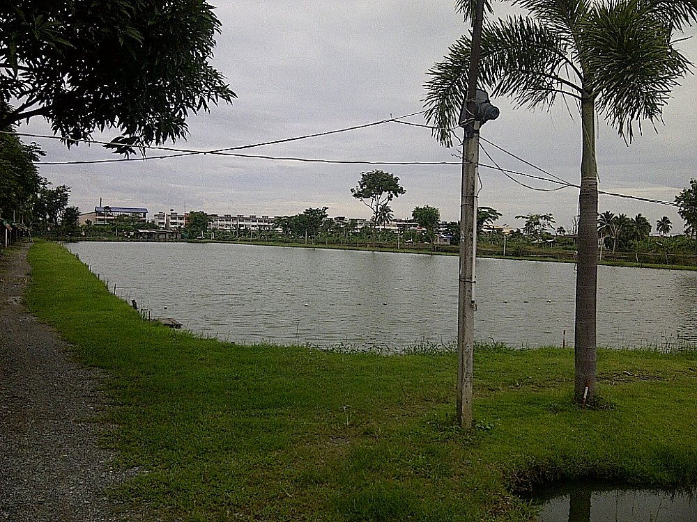 สภาพบ่อแข่งด้านใน สะอาดดีมาก เก็บไว้ให้นักแข่งในรายการเท่านั้นครับ ห้ามบุคคลภายนอกเข้าไปตกเล่นนะ ส่ว