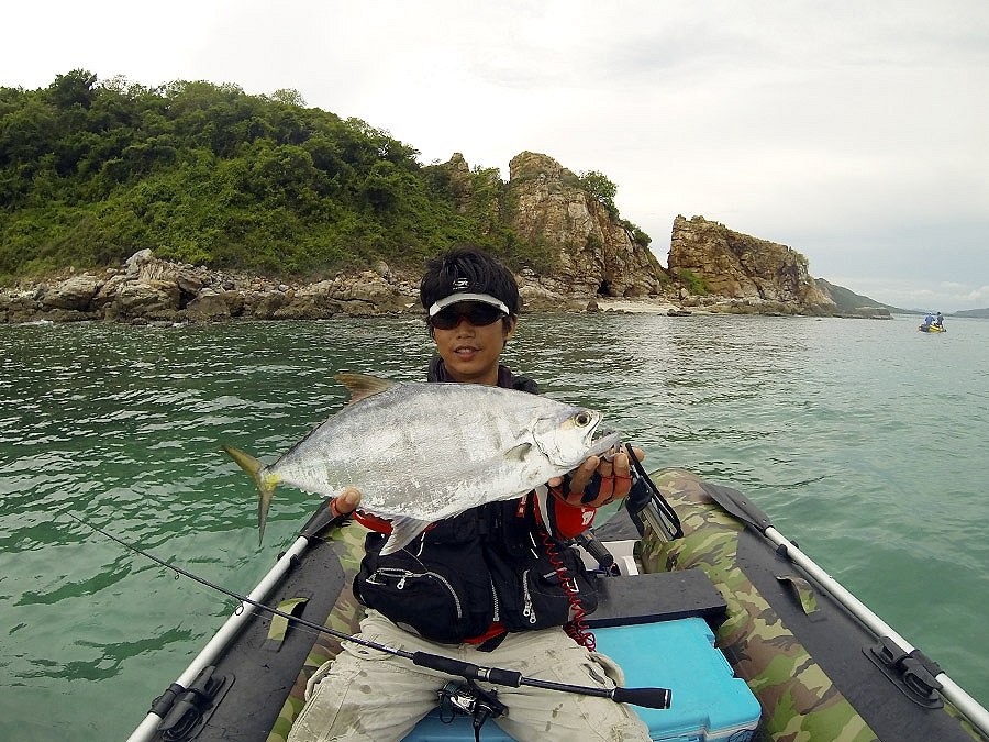  [center]เจ้าตัวนี้มีชื่อว่า [b]ปลาเฉลียบ[/b] หรือ เฉลียบป้อม Barred Queenfish (Scomberoides tala)
