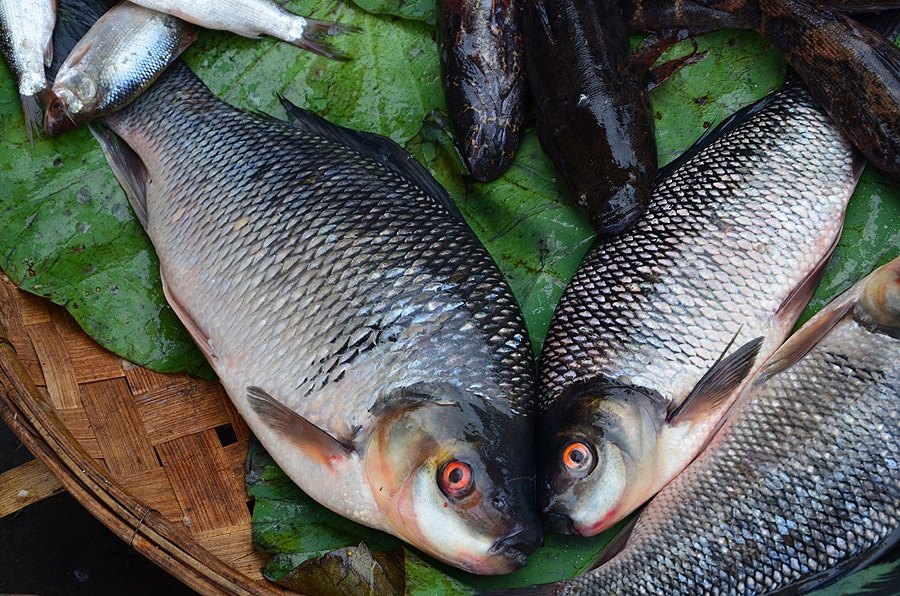 สอบถามชื่อปลา 7 ตัวในตลาดสดกรุงพนมเปญประเทศกัมพูชาหน่อยครับ