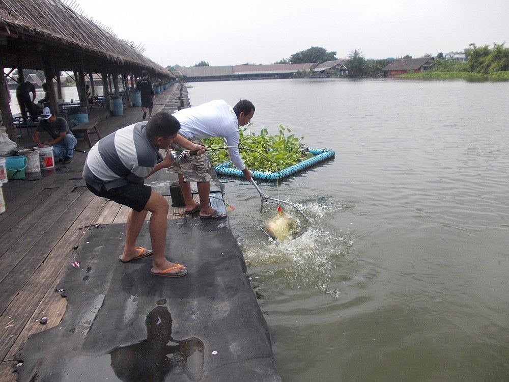 เรียบร้อย ครับ