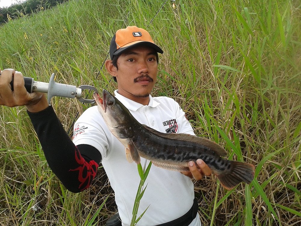 น้องใหม่ พัทยาที่ตะลุยป่า ตามหาชะโดด้วยกัน นุกหนานกันจิงๆทริพนี้  ชะโดกัดกระจาย  :spineyes: :spineye