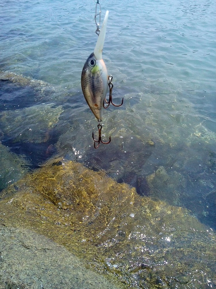 ลองเมก้าแคสมั่ง
ก็ยังเงียบแถมติดหินบ่อยไปหน่อย
ดูตัวเบ็ดสิ ดีแล่วที่ปลาไม่โดน
ขนาดเฉี่ยวยังปางตาย