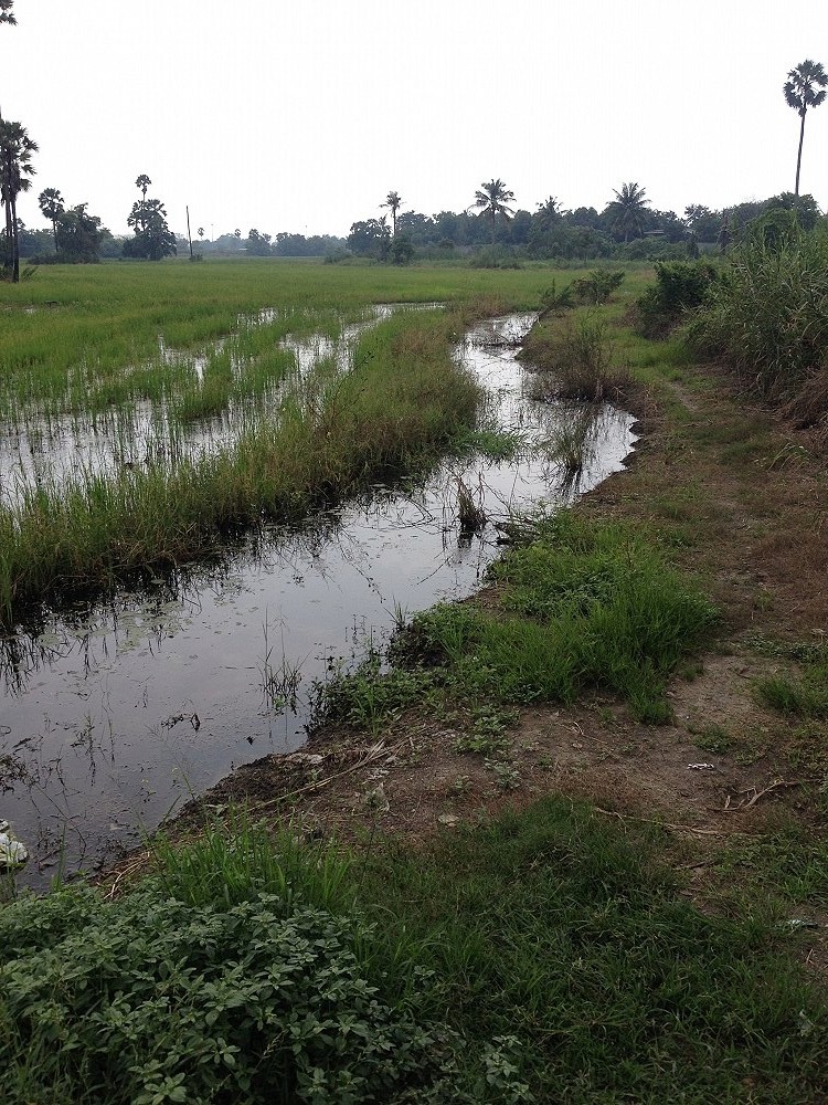 มาแล่วครับ. ฝนตกหนักจนไม่สบายสะแล้วครับ

หมายนาครับ
 :laughing: