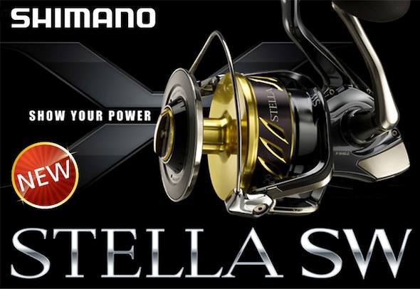 stella 2013 มี 2 แบบหรอครับ? jdm กับ ตัวที่ขายในเมกา