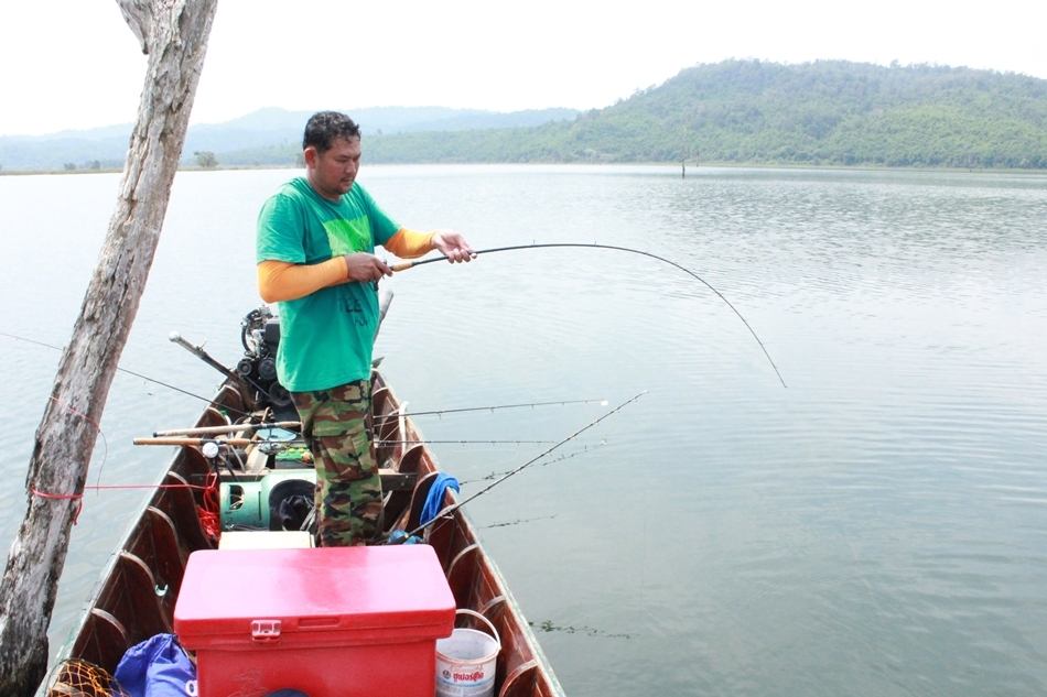 คันเบ็ดใหญ่ๆก็ไม่กิน ดันเข้ามาฉวยคันตีเหยื่อปลอมอีกซะ...

BassProShop Crinkin Stick 10-20 lb + Cit