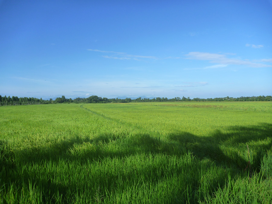  [center]บรรยากาศชายทุ่งนา[/center]