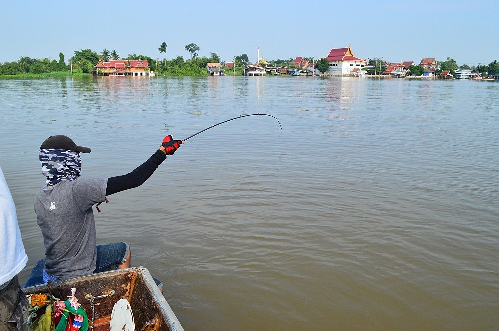 ใหญ่ไม่ใหญ่ไม่รู้ครับโอ้โห้ทั้งเรือ แต่ที่รู้ๆๆมันไม่ยอมง่ายๆๆๆแน่  :sick: :sick: