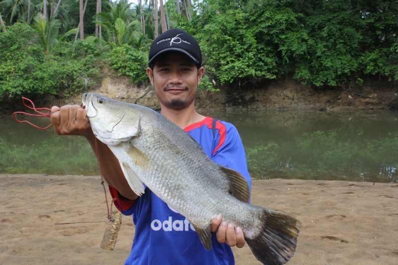 กระพงขาวในคลองข้างข้างบ้านตัวนี้เฝ้ามาหลายวัน ได้แล้วดีจัยสุดๆ :grin: