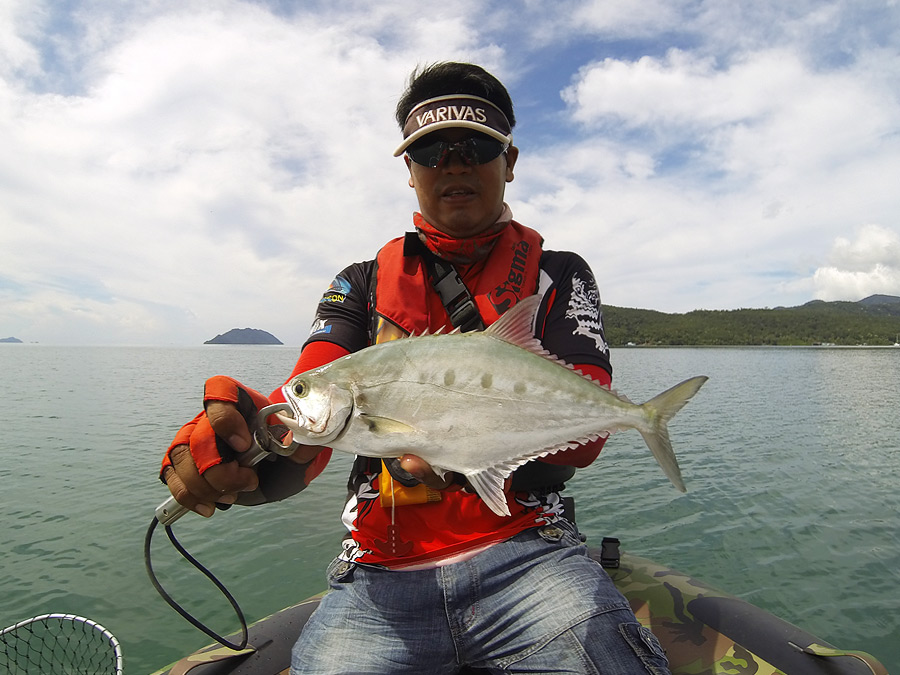  [center][b]ปลาสละ Talang queenfish[/b] หรือ Giant queenfish (Sacomberoides commersonnianus)

คราว