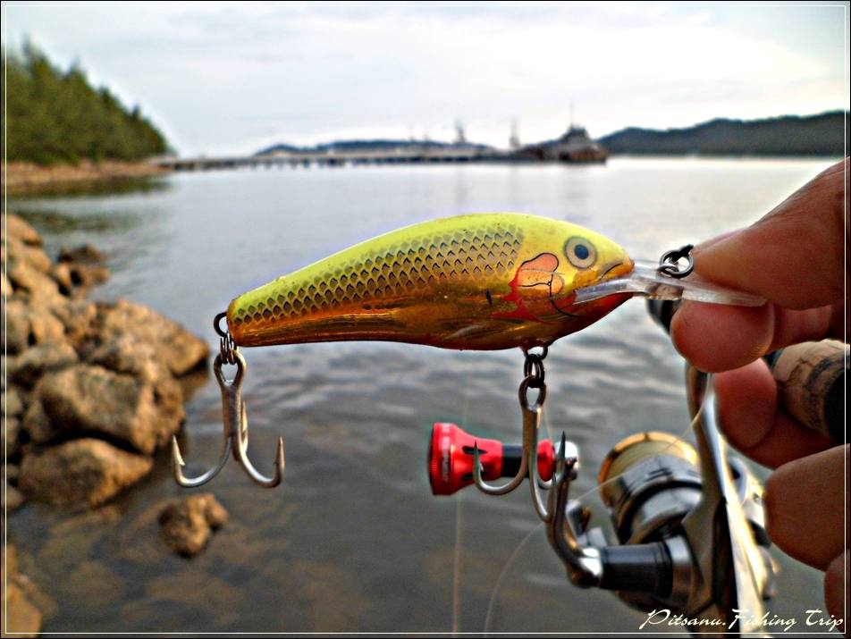 
 [center] :cheer:    ไม่กัดไม่กิน ก็ลองเปลี่ยนมาเป็นตัวนี้ครับ  RAPALA FAT RAP 8  ลิ้นยาว ดำลึกเหม