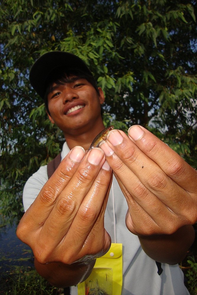 บัวขาวไปช่วยลูกคอกขึ้นถนนโดนนกจิกกินมาปล่อย..+++ :cheer: :cheer: :cheer: :love: :love: :love: