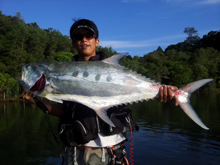  [center]มาแล้วววว


22/10/2013 Talang Queenfish
Rod : RAPALA SHADOW SHDS662MH (2pc) Spinning 6