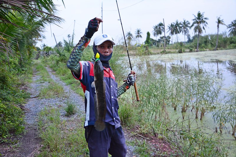 พี่ทุย..โดนอีกตัว เป็นตัวสุดท้าย ปิดทริปนี้  ครับผม !!!    :grin:

ผมถ่ายไม่ทันอีก มัวแต่ถ่าย น้าบ