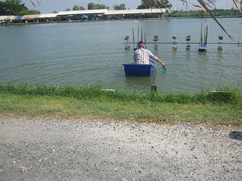 โดนเลย กังหันเรือ เต็มๆ ถึงกับต้องพายเรือไปเก็บกันเลยทีเดียว :laughing: