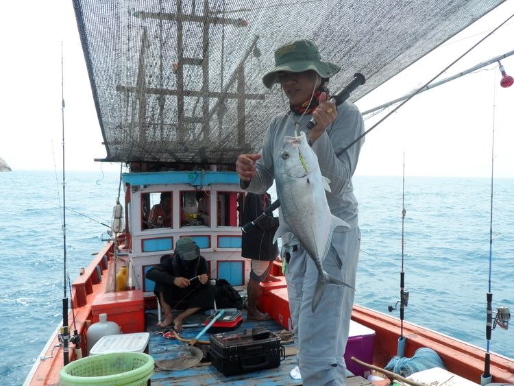 ขอหยาลรูปหน่อยพี่เอก ปลามงอ่าวไทยหายากมีน้อยไม่ใช้ไม่มี Ha  Ha  Ha