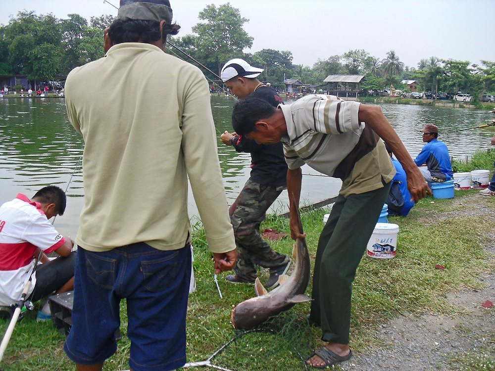 เต็มมือกับบึก กำลังเคี้ยวครับ :umh: