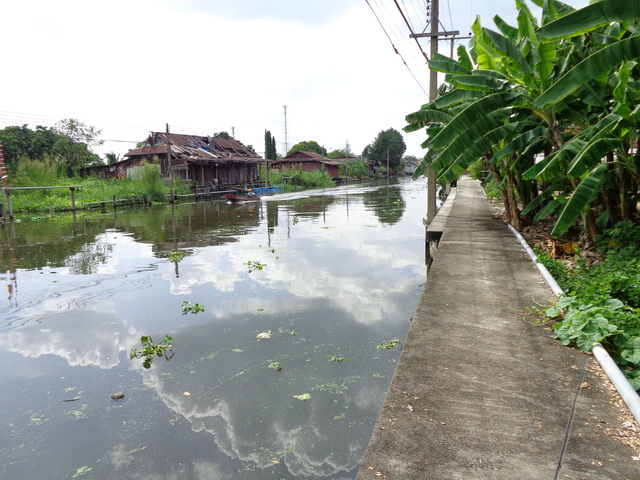 เดินไปเรื่อยๆ ตีไปเรื่อยๆ ได้บรรยากาศจริงๆ เรือก็ไปๆมาๆ เราก็ตกปลาไป  :cheer: :cheer: