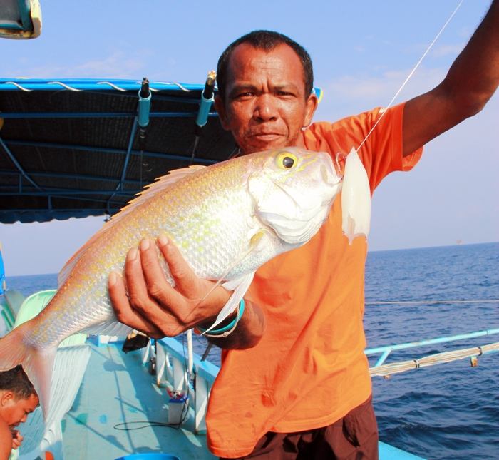 อั้งโกลี้
ชื่อสามัญภาษาอังกฤษORNATE THREADFIN BREAM
ชื่อวิทยาศาสตร์Nemipterus hexodon
ชื่อไทยอื่น