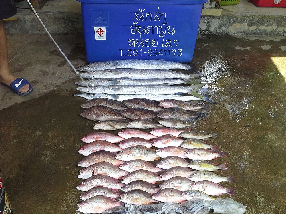 ปลาไม่มากแต่เป็นปลาเนื้อดี เป็นความสุขเล็กๆที่เอื้อมถึงอุปกรณ์ราคาไม่สูงนักค่าใช้จ่ายแต่ละคนพอรับไหว