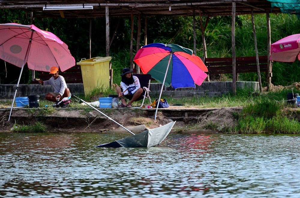 ยังไม่ถึงเวลาลอยกระทง น้าๆ เค้าเลยเอาร่มมาลอยกันก่อน :laughing: