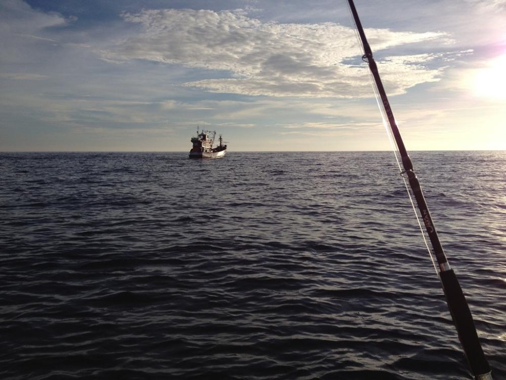 เรืออวนลำในภาพวางอวนถ่วงบนแนวกองหิน หินกองเดียวเค้าวางอวนหลายหัวซอยถี่แบบว่าไม่มีทางรอด
เห็นบ่อยมาก