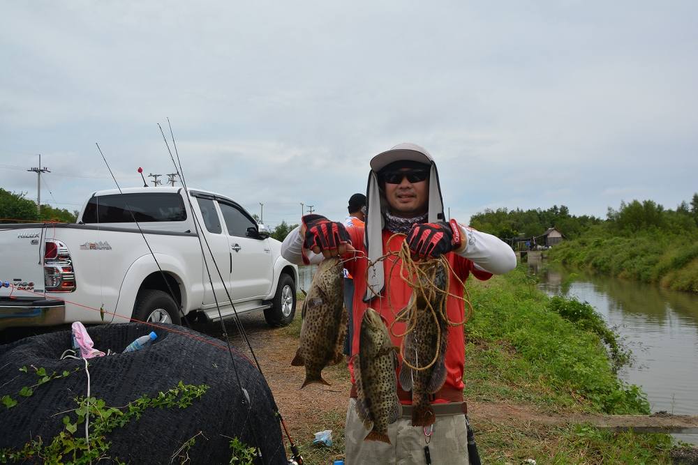 [b]มาดูผลงานของ น้าวุฒิ (fishingover) มั่งครับ วันนี้ น้าวุฒิ มาเพื่อน้องเก๋าล้วนๆเลยครับ อิอิ[/b]
