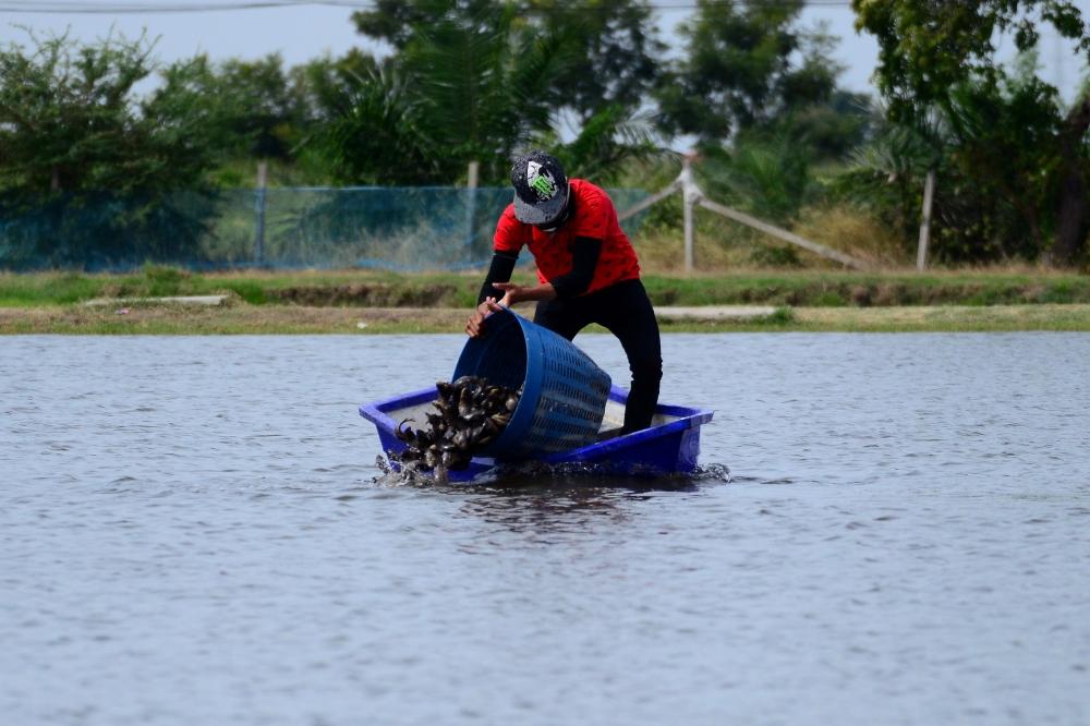 สาดกันเป็นเข่งเลยครับ  ระวังเรือล่มด้วย:laughing: