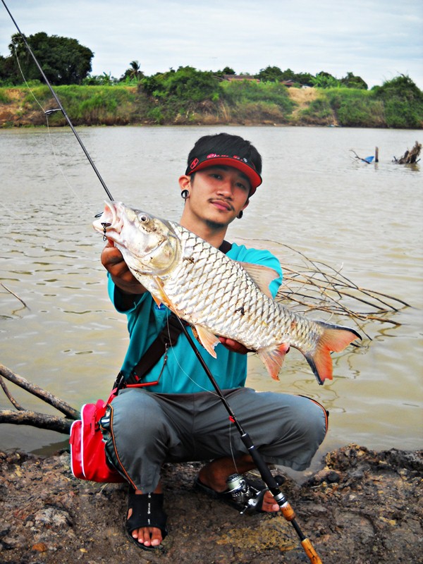 .......... ความมันส์ น้ำไหล กระสูบ ใหญ่ & ปลาเบี้ยว Chaophaya River .........