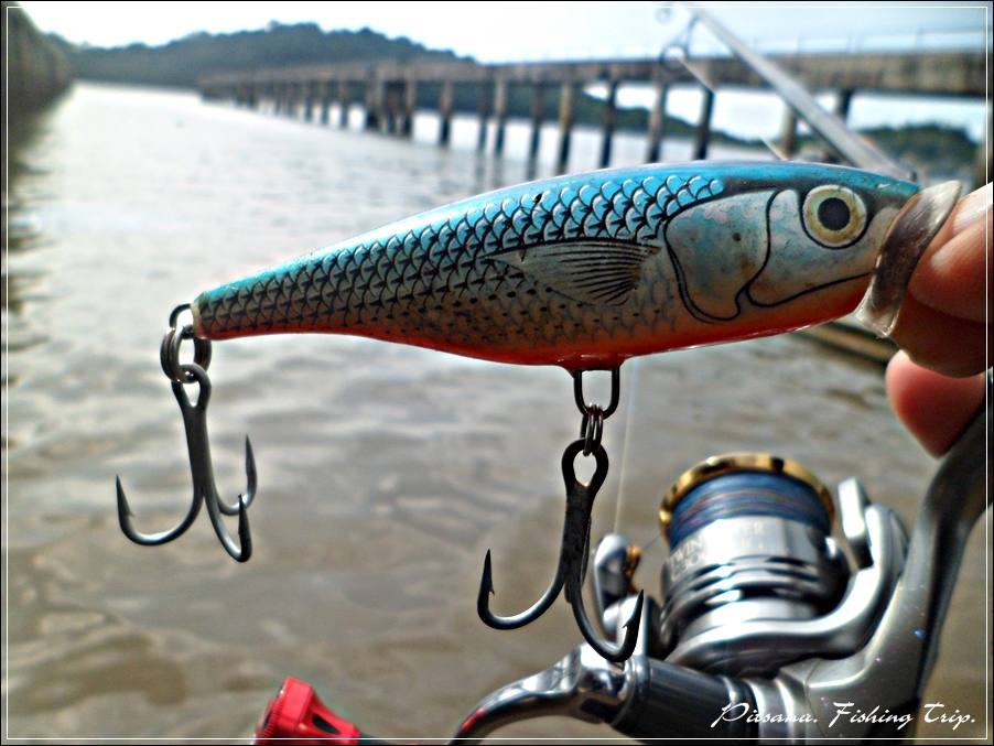 
 [center] [b]..................... RAPALA SKITTER POP 9 สี BMU  .....................[/b][/center]