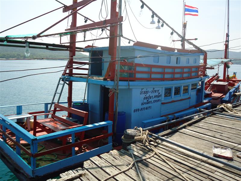 ต้อนรับลมหนาวที่แสมสาร