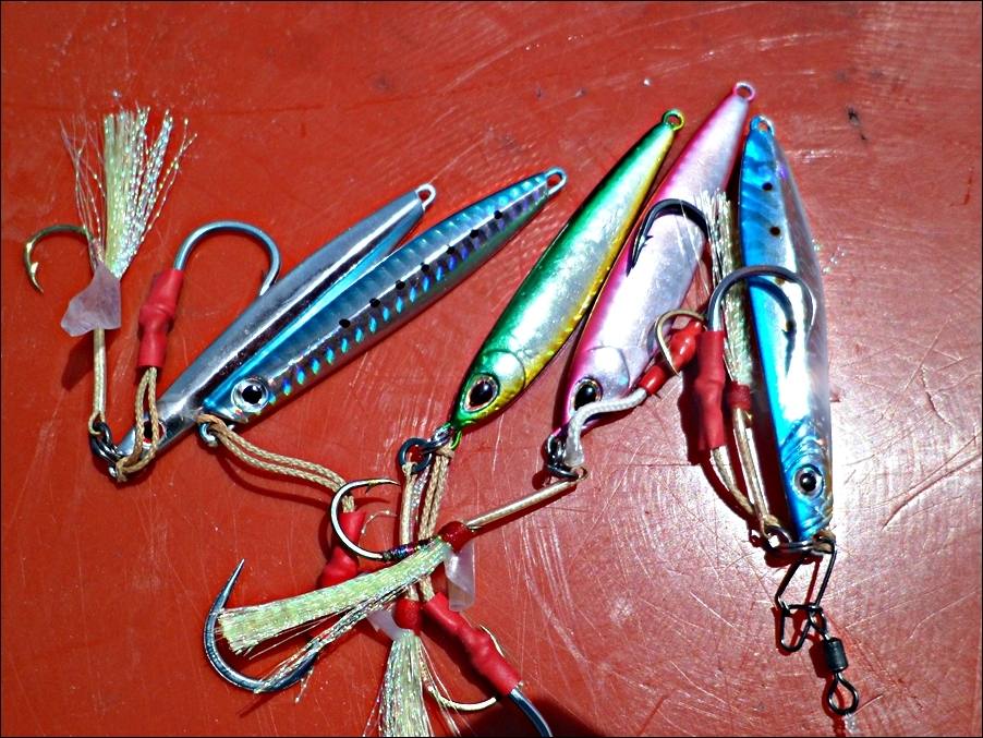 
 [center]ตระเตรียมเหยื่อ Jig พร้อม ลุย Light Jigging  ด้วย Storm Thunder Jig และ Storm Gomoku Koik