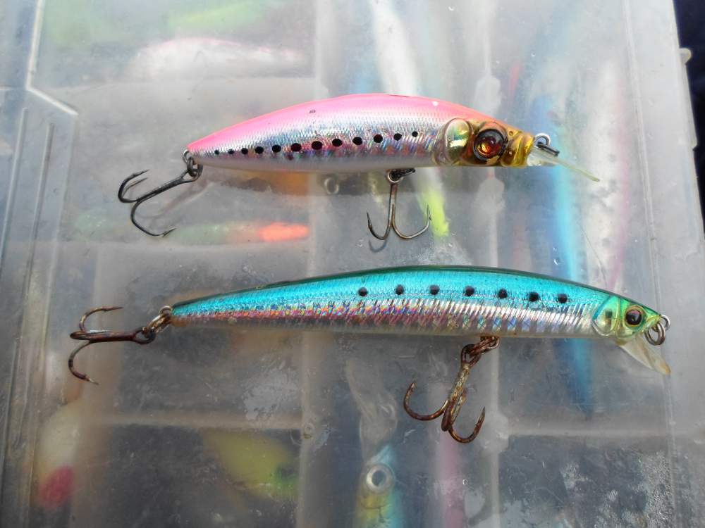 หลังจากนั้น ลองเปลี่ยนเป็นเหยื่อ ECOGEAR MINNOW 90 สี SARDINE ตีไปสัก 10 ไม้ก็โดนกัดอย่างแรง อัดสู้ก