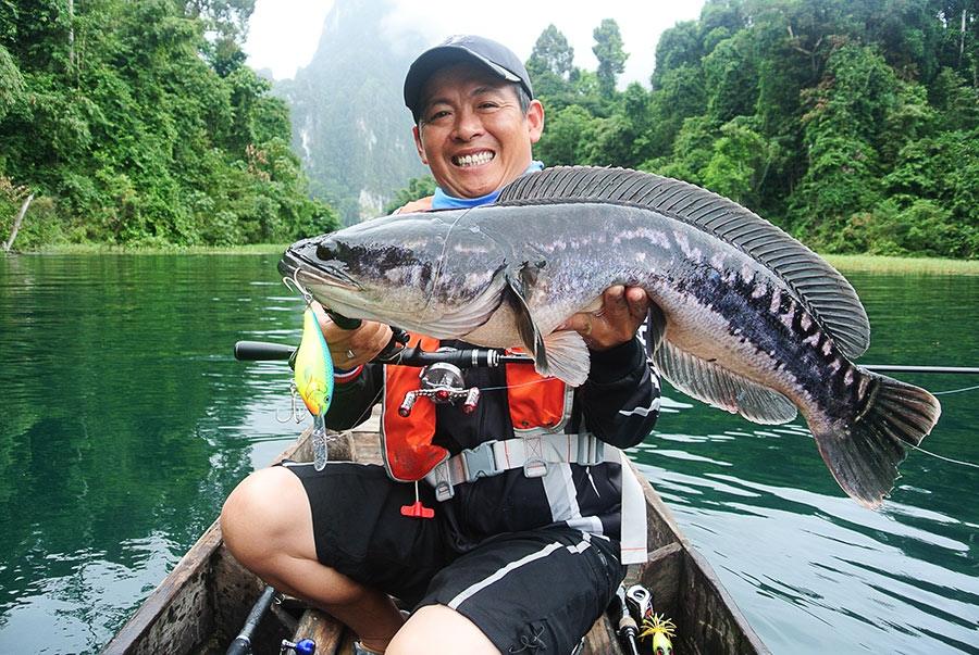 ชะโดของเจฟฟี่ใหญ่ที่สุดในทริปนี้แล้วครับ