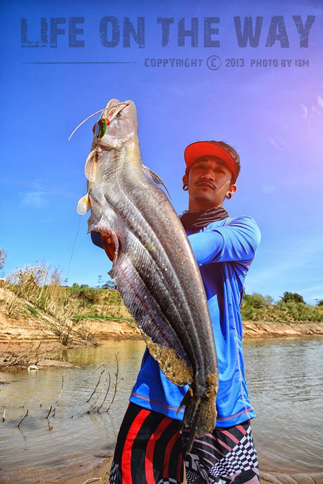  

[center] [b]Big Monitor Gang !!! Fishing Chaophaya River Style.

Fish : ปลาค้าว ( Great white