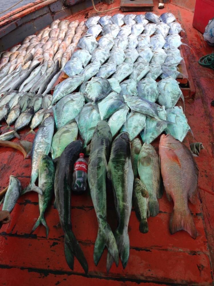 เล่าสู่กันฟัง. กับการไปตกปลาฝั่งอ่าวไทยครั้งแรก